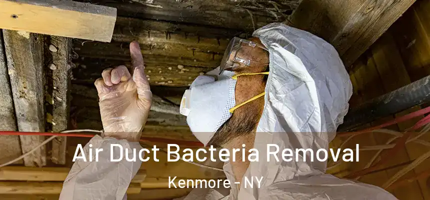  Air Duct Bacteria Removal Kenmore - NY