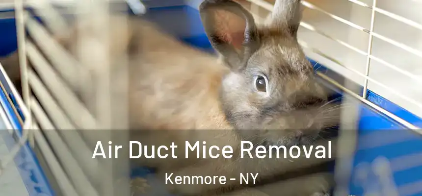 Air Duct Mice Removal Kenmore - NY