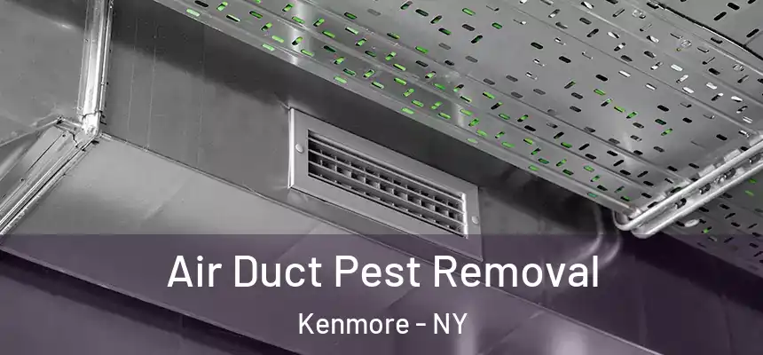Air Duct Pest Removal Kenmore - NY