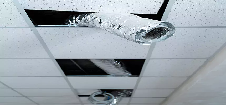 Affordable HVAC Sanitizing After Pest Removal in Kenmore