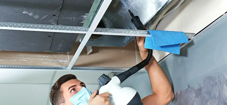 Our Air Duct Rodent Removal Services in Kenmore, NY