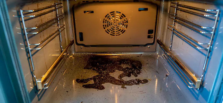 Our Dryer Vent Mold Cleaning Services in Kenmore, NY