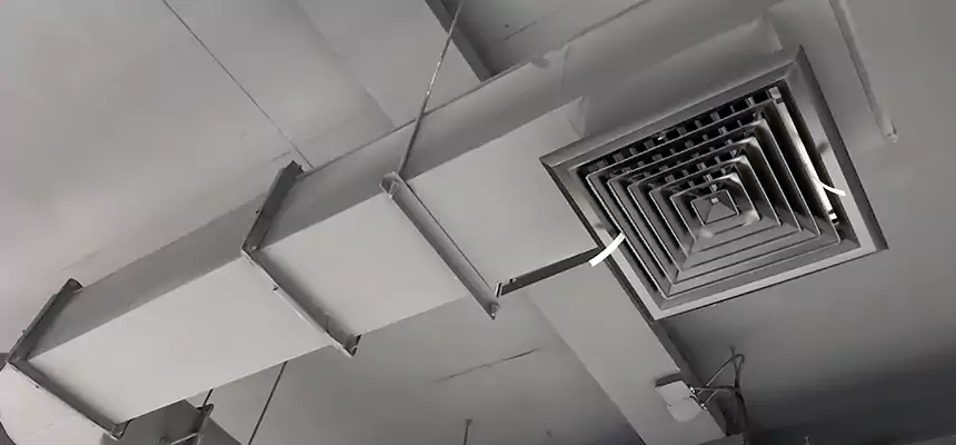 Our Pest Removal From Ducts Services in Kenmore, NY