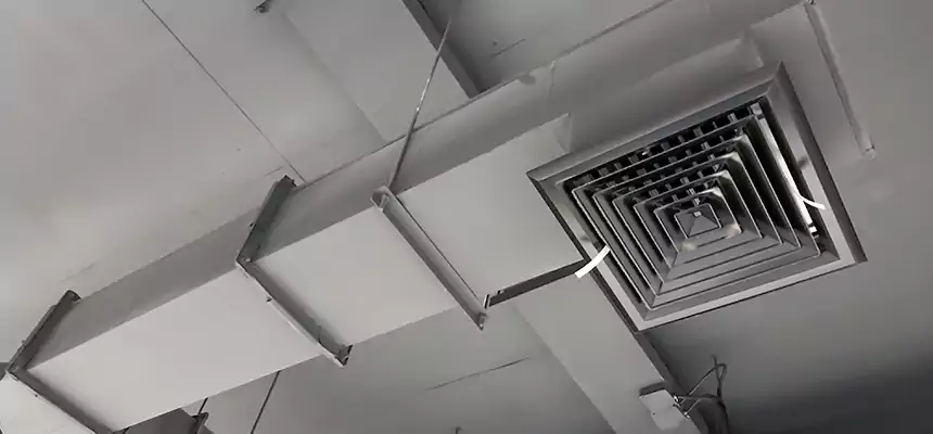 Our Rodent Droppings In Vents Services in Kenmore, NY