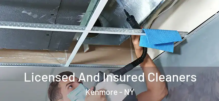  Licensed And Insured Cleaners Kenmore - NY