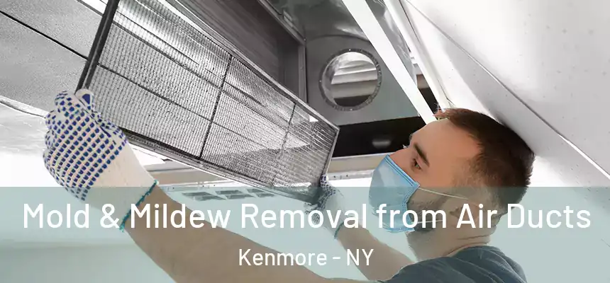 Mold & Mildew Removal from Air Ducts Kenmore - NY