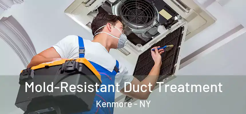 Mold-Resistant Duct Treatment Kenmore - NY