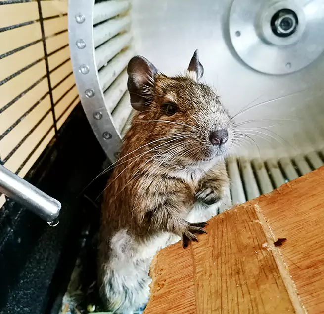 Why Homeowners & Businesses Trust Us Kenmore, NY